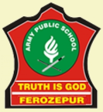 Army Public School (Firozpur Cantt), Firozpur, Punjab.