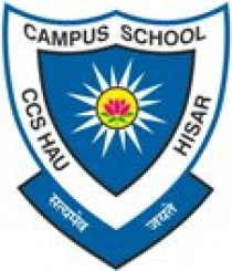 Campus School, Hisar, Haryana.
