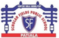 Scholars Fields Public School
