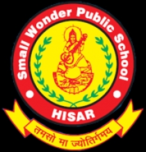 Small Wonder Public School, Hisar, Haryana