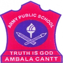 Army Public School (Ambala), Ambala, Haryana.