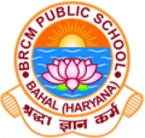 BRCM Public School (Vidyagram), Bhiwani, Haryana.