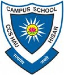 Campus School, Hisar, Haryana.