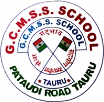 G.C. High School, Mewat, Haryana