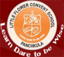 Little Flower Convent School