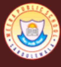 Meera Public School, Mansa, Punjab