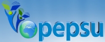 Pepsu International Public School