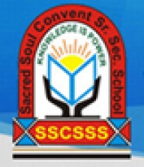 Sacred Soul Convent Senior Secondary School