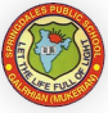 Springdales Public School (Hoshiarpur), Hoshiarpur, Punjab