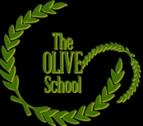 The Olive School (Fatehabad)
